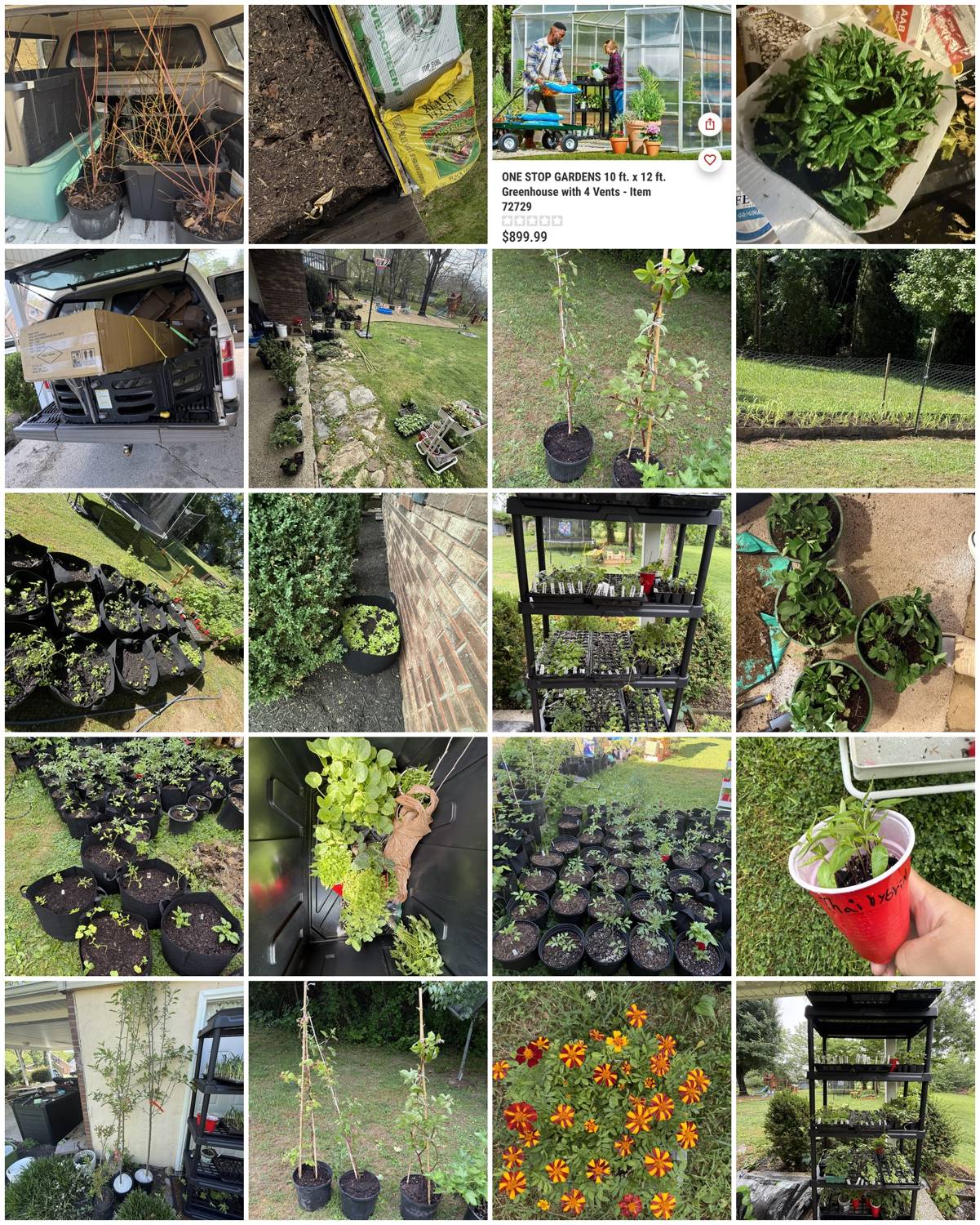 Collage of greenhouse assembly