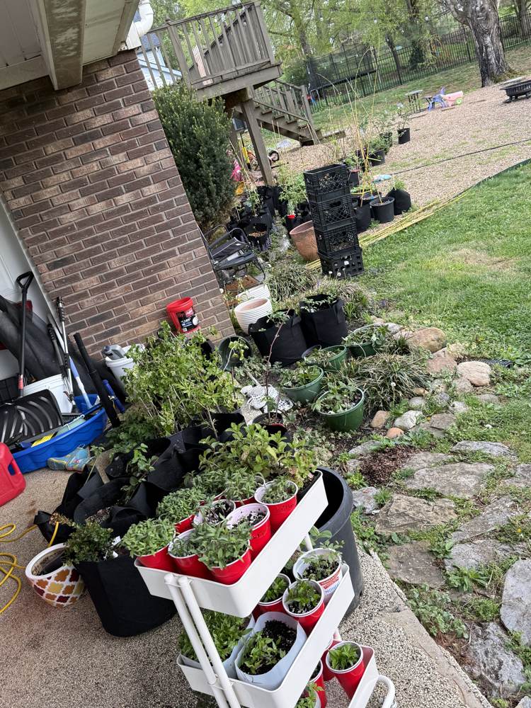 Early April farm progress