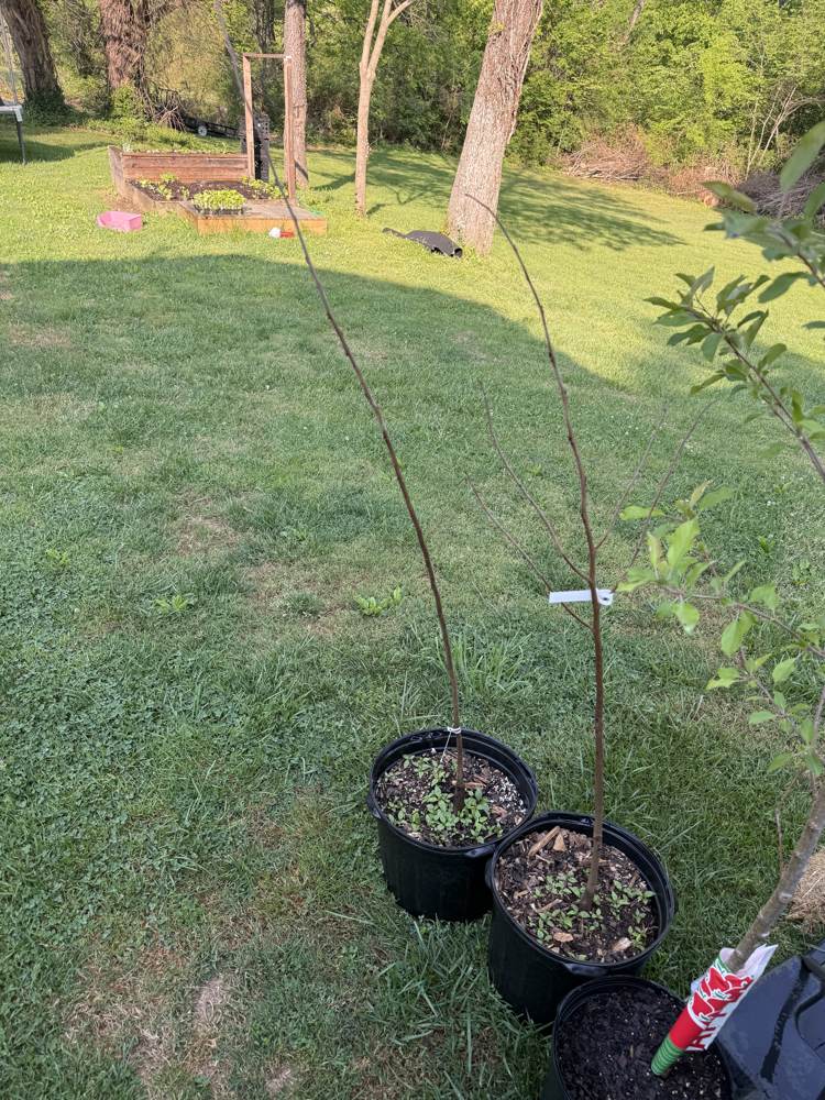 Late April farm progress
