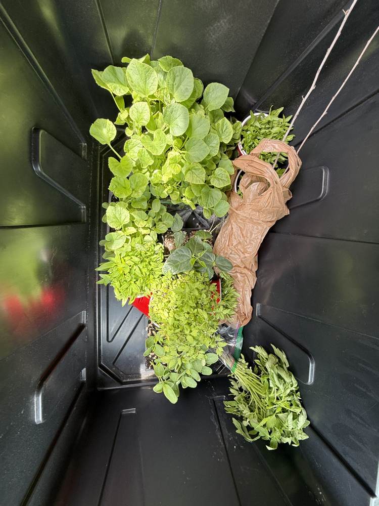 Early May farm progress