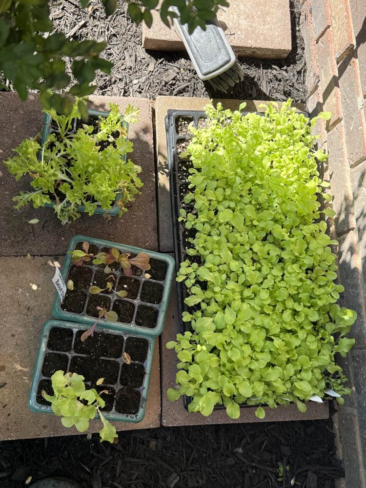 Price Family Farm plants and growing area