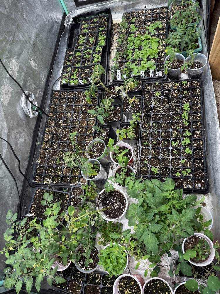 Mid May farm progress