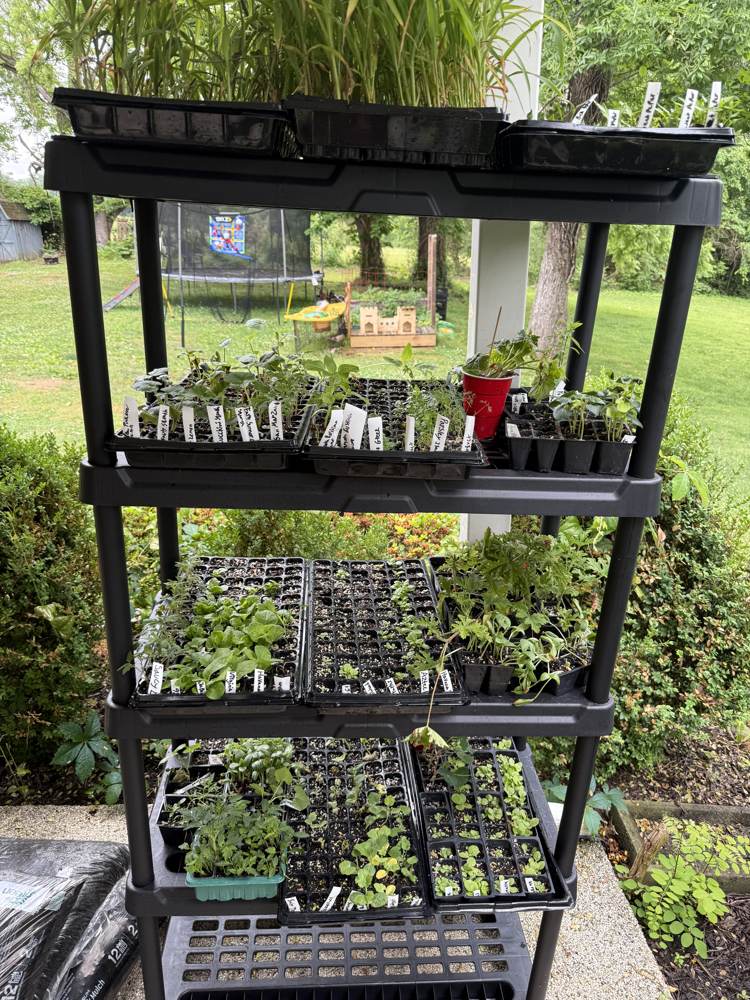 Late May farm progress