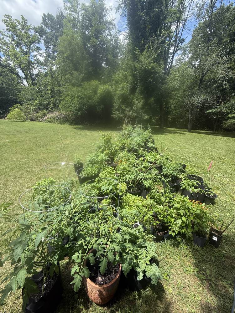 Late May farm progress