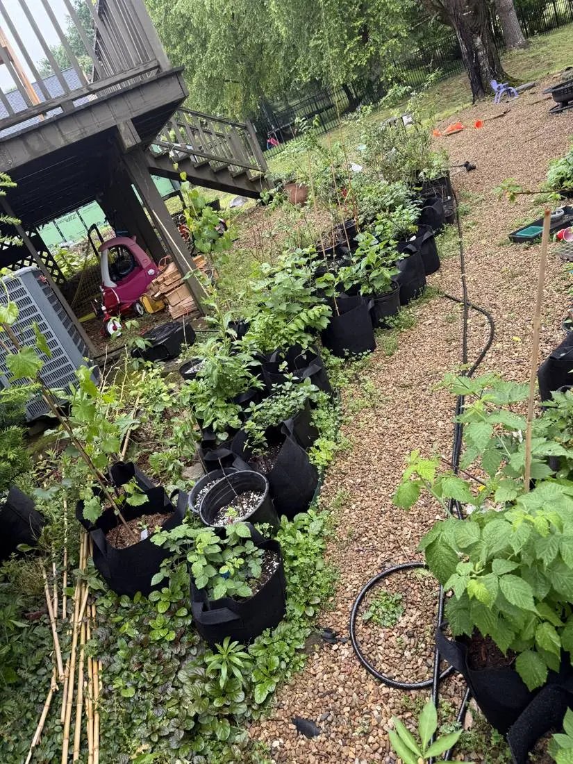Price Family Farm growing space in Greeneville, Tennessee